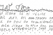 Obrázek: ohlasy/malystrom7.png
