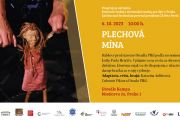 Obrázek: program/1695299011_fdt2023-pozvanky-mina.jpg